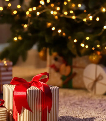 Gifts under $100