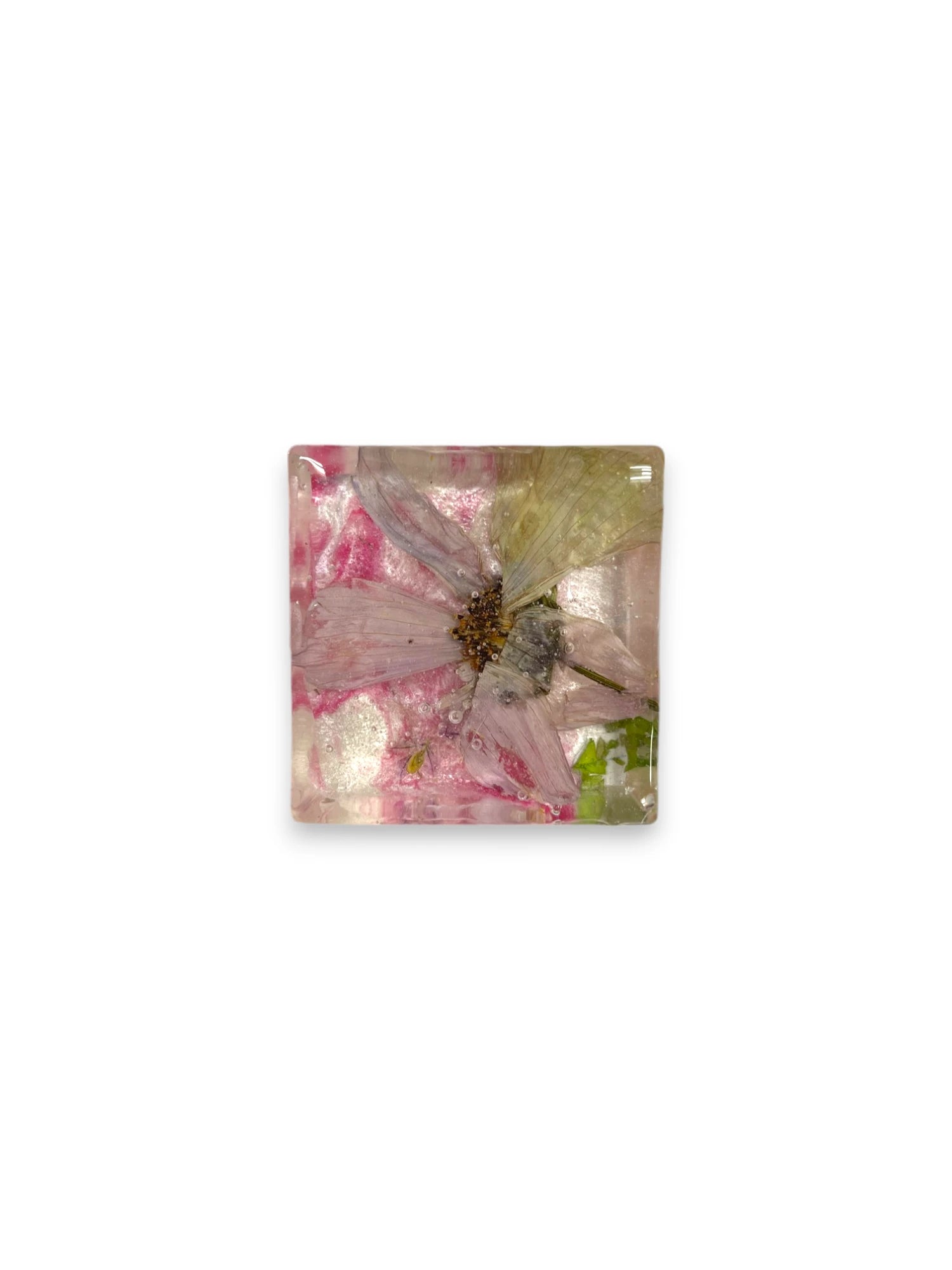 Pressed Flower Resin Magnet, Botanical Magnet, Floral Fridge Magnet