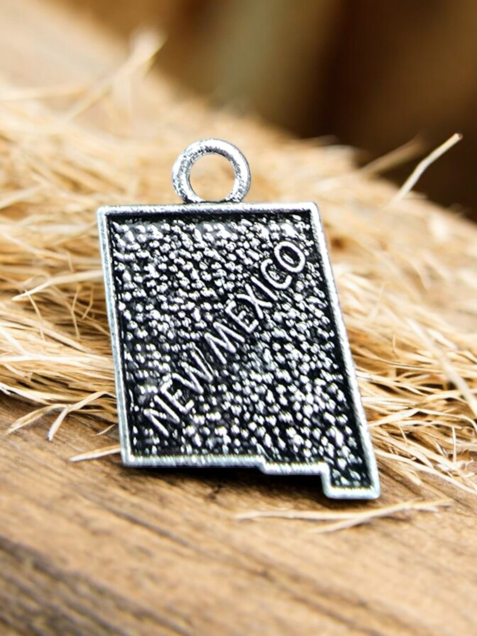 Silver New Mexico State Pewter Charm Pendant | Travel Charm