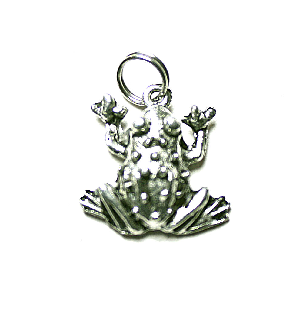 Silver Frog State Pewter Charm Pendant | Travel Charm